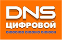 DNS цифровой